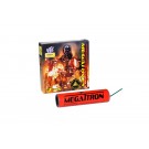 megatron_new